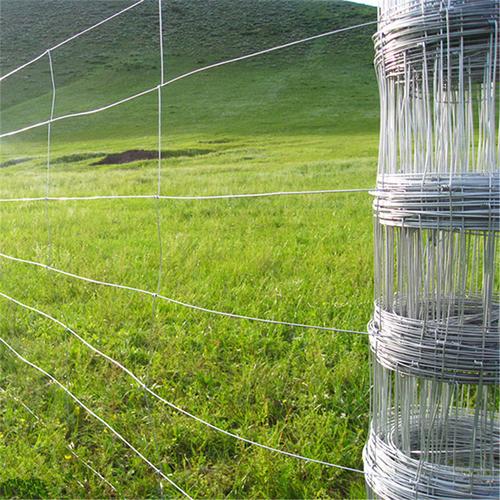 厂家直销圈地养殖围网 牲畜防护网 牛栏网批发 支持定制